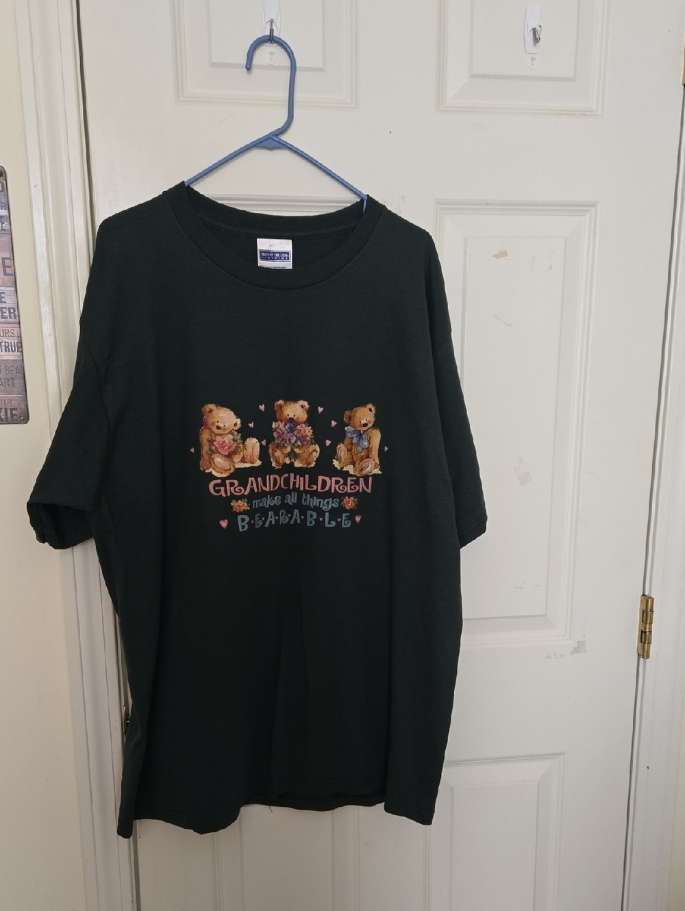 Fruit of the Loom Dark Green Kids Short-Sleeve Tee with Teddy Bear Graphic